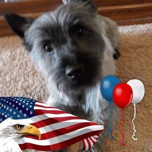 Meet your Posher, Annette